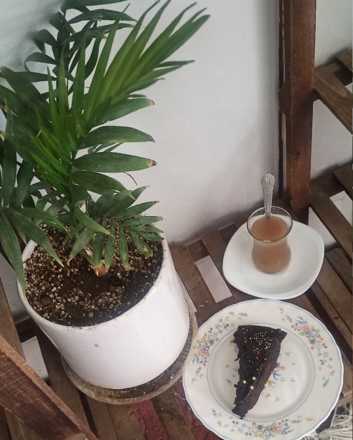 کیک خیس شکلاتی