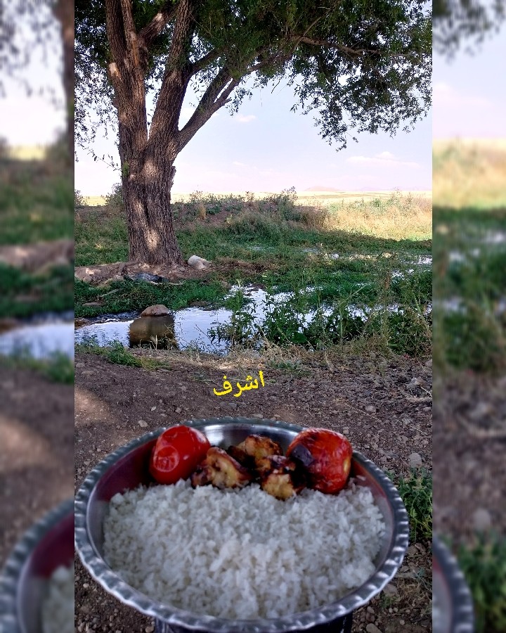 عکس روزمرگی