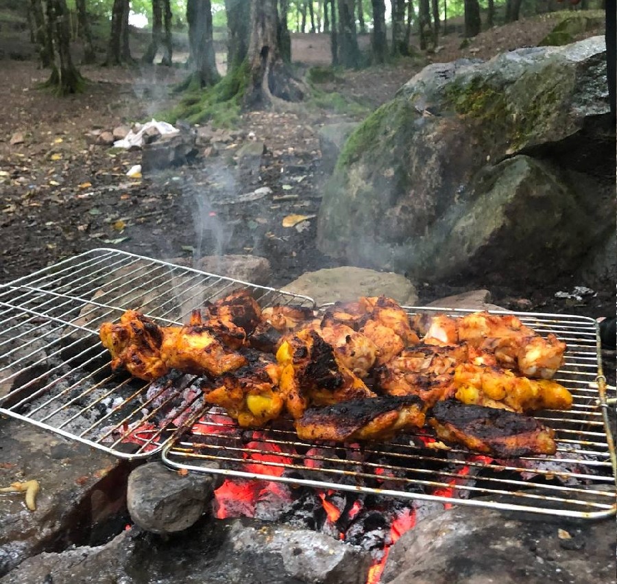 جوجه کباب آبشار آب پری