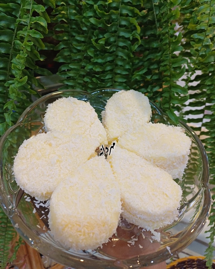 عکس دسر شیری
