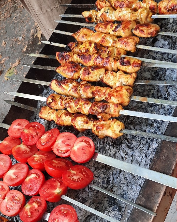 عکس جوجه کباب