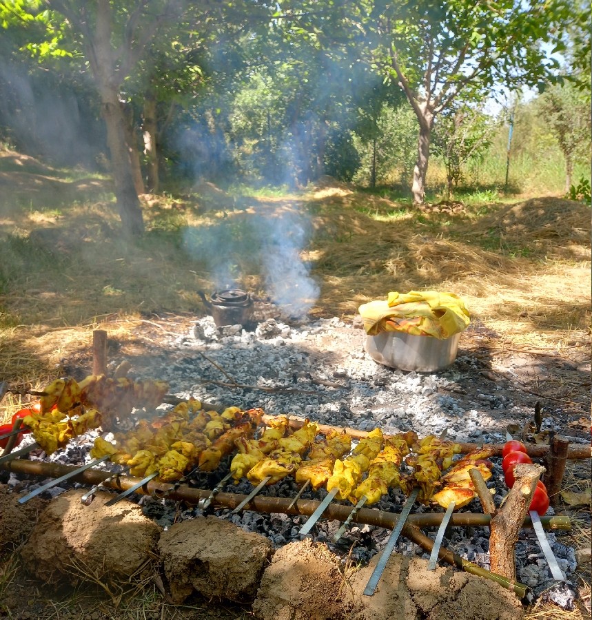 عکس جوجه کباب زعفرانی