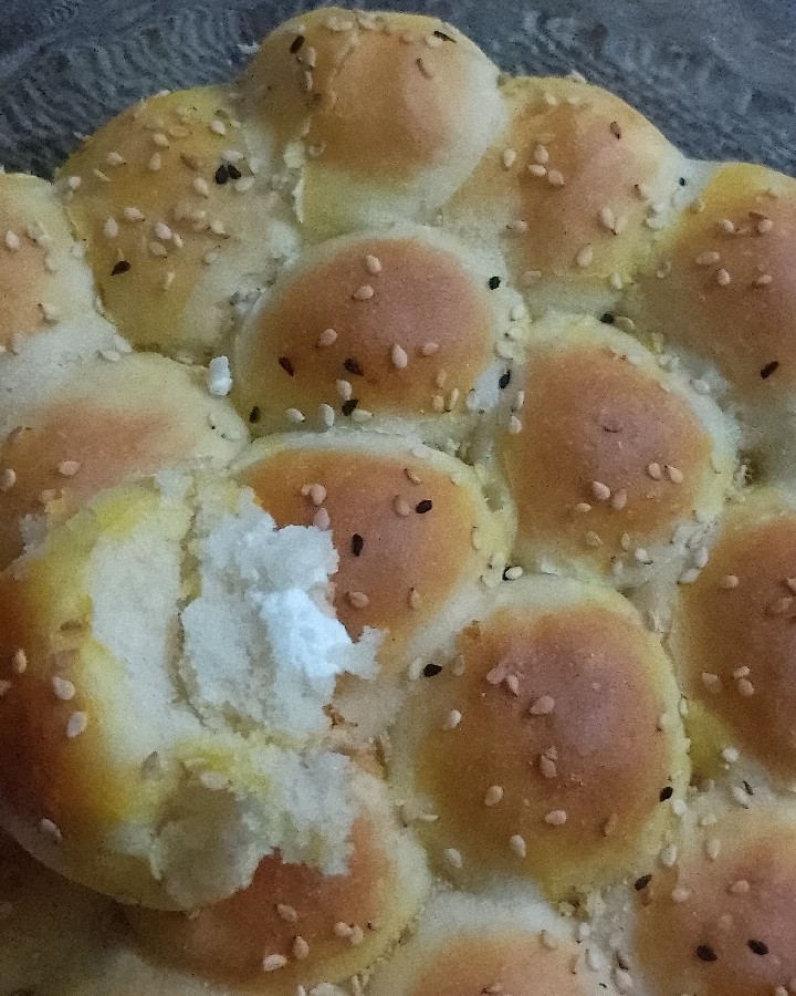 عکس نون پنیری خوشمزه