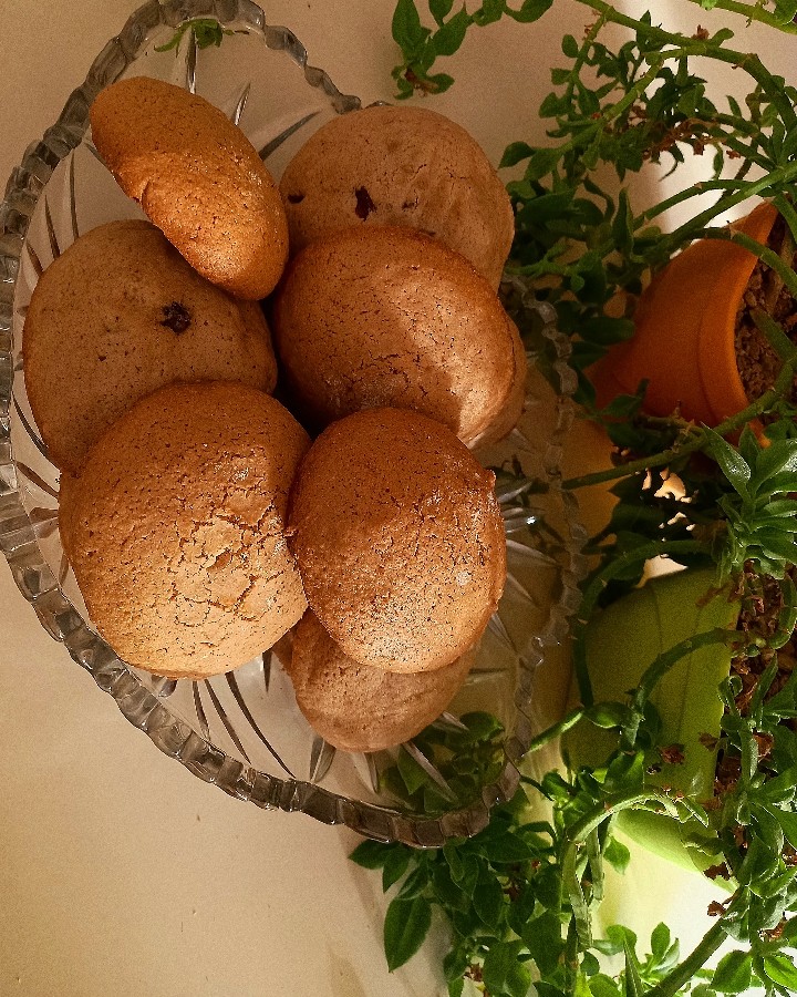 عکس کوکی کشمشی
