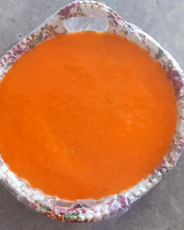 عکس لواشک زرد آلو