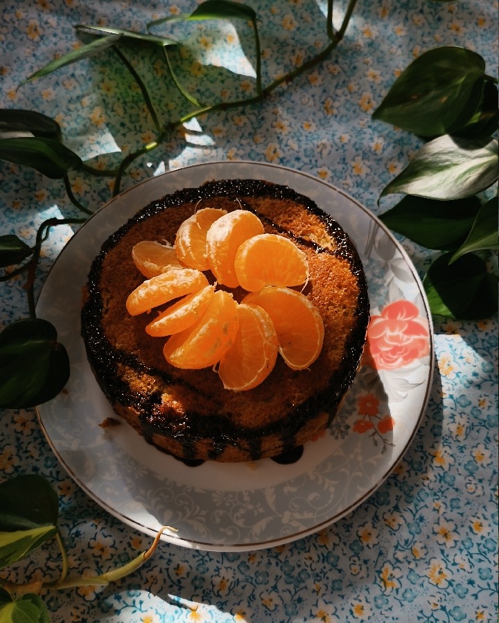 عکس کیک ساده