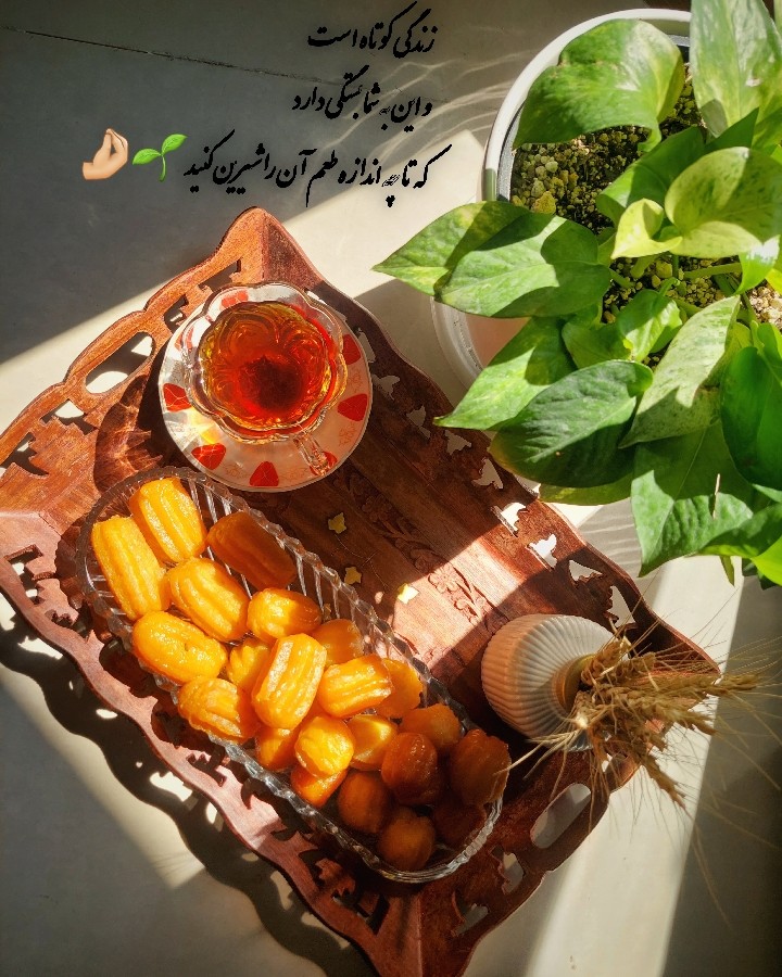 عکس بامیه