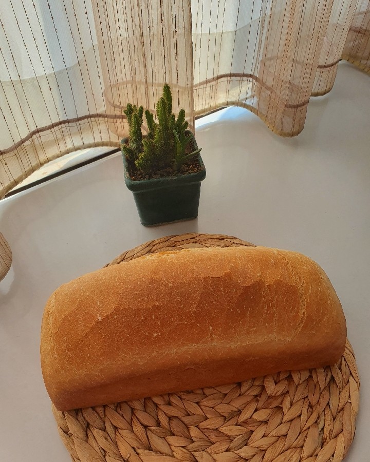 نان تست