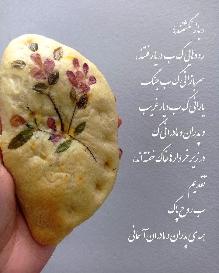 عکس پیراشکی گوشت