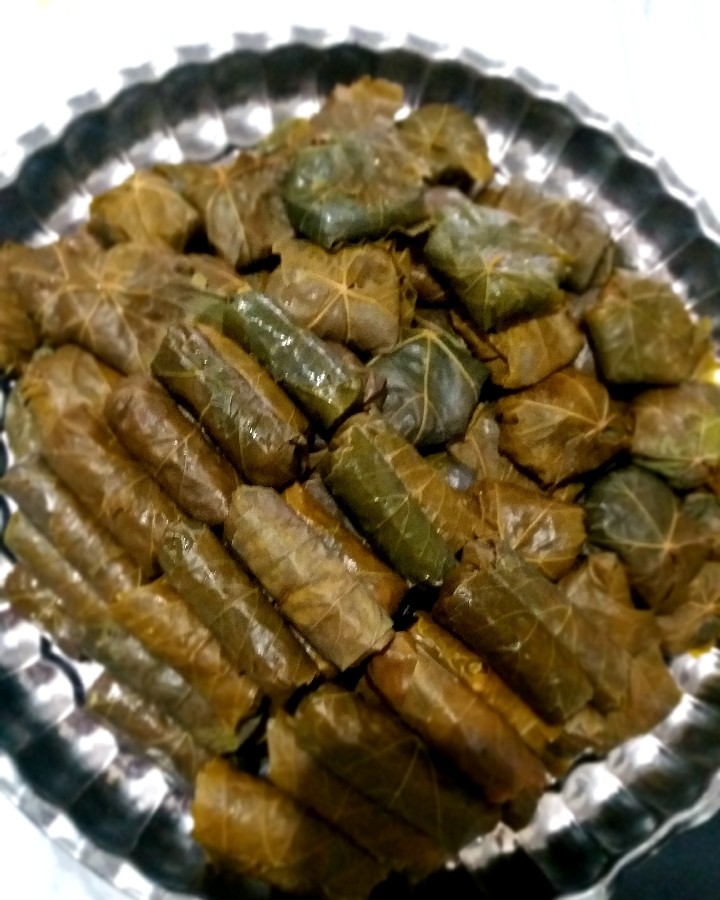 عکس دلمه