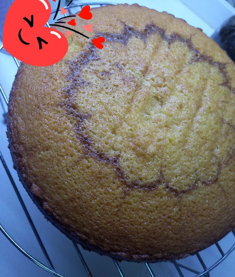 عکس کیک دو رنگ 