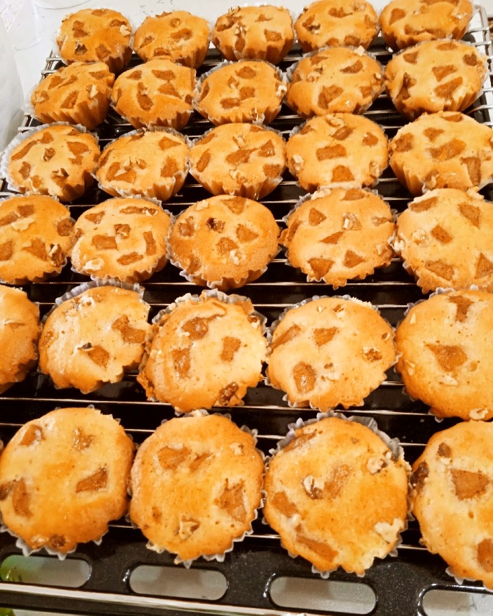 عکس روزمرگی