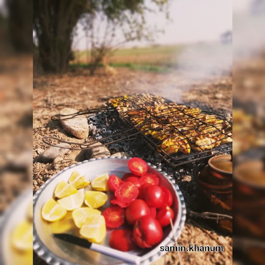 عکس جوجه کباب