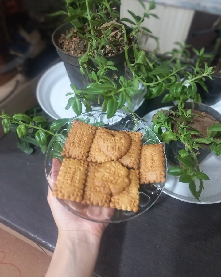 عکس بیسکویت بسیار خوشمزه با دستور اموزشگاه قنادی گل نرگس