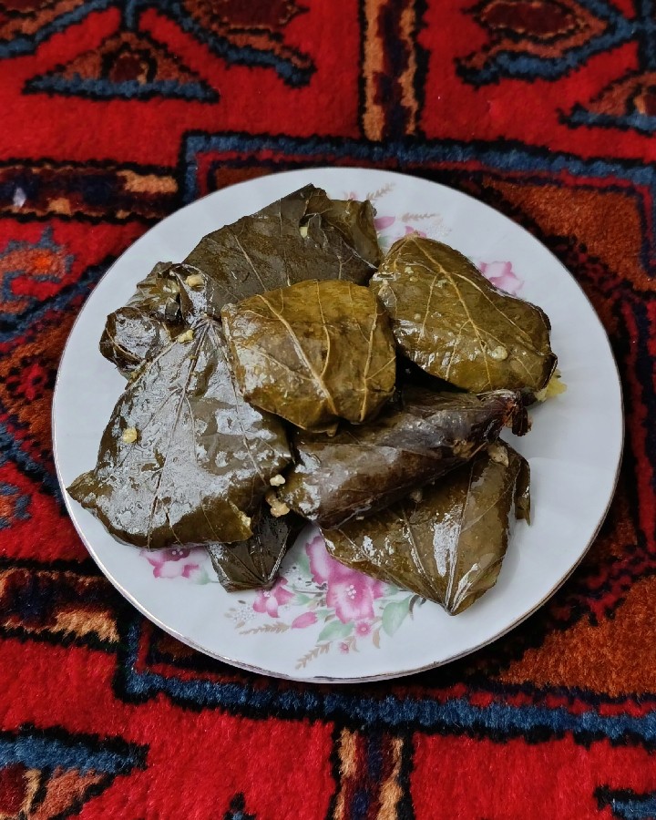 عکس دلمه 