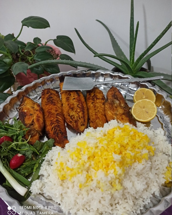 عکس ماهی سرخ شده ..صفحه بعدی کدو