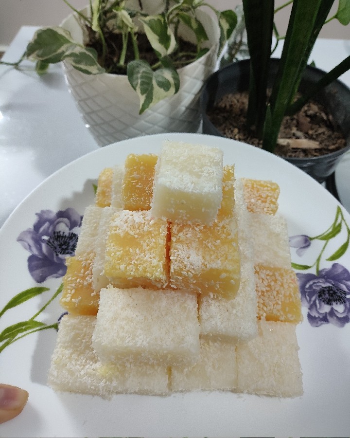 عکس باسلوق