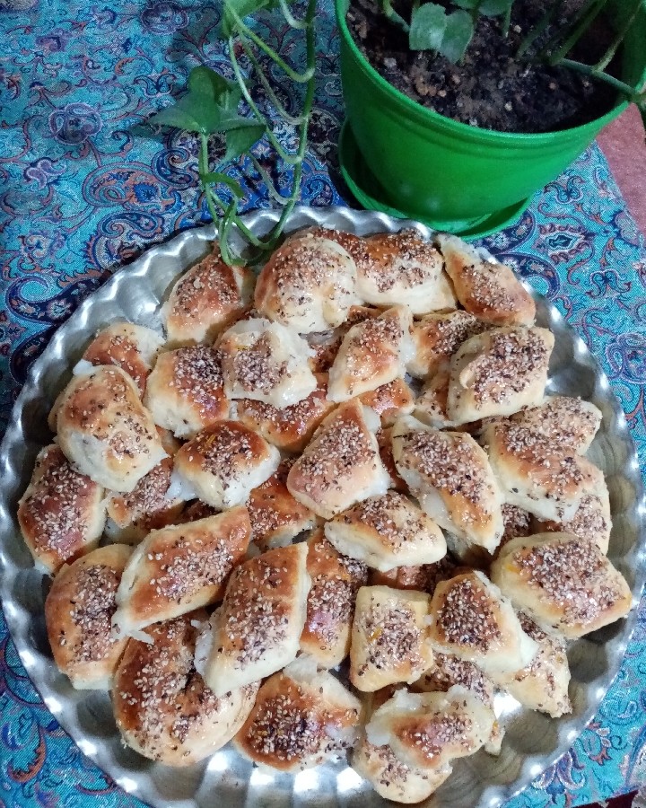 عکس این هم دانمارکی