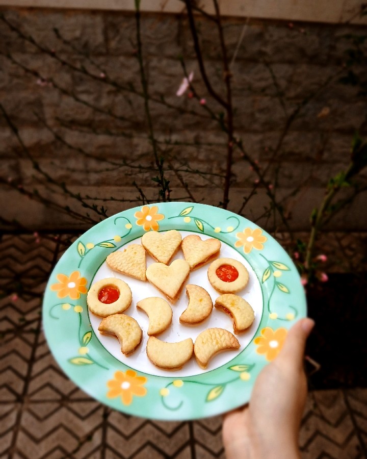 عکس کوکی گاناش و هویج