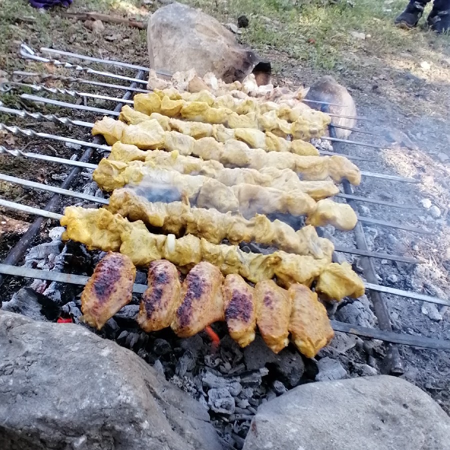 جوجه کباب # نوروز1404