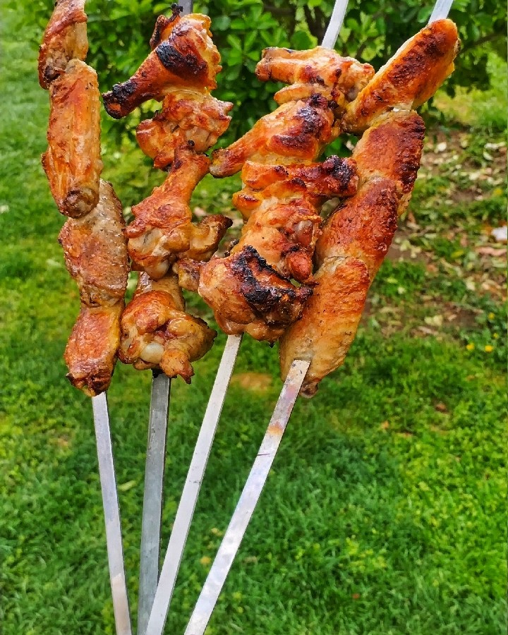 عکس روزمرگی طبیعت
