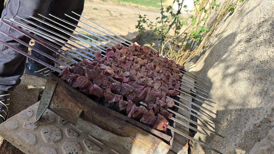 عکس جیگر در طبیعت 