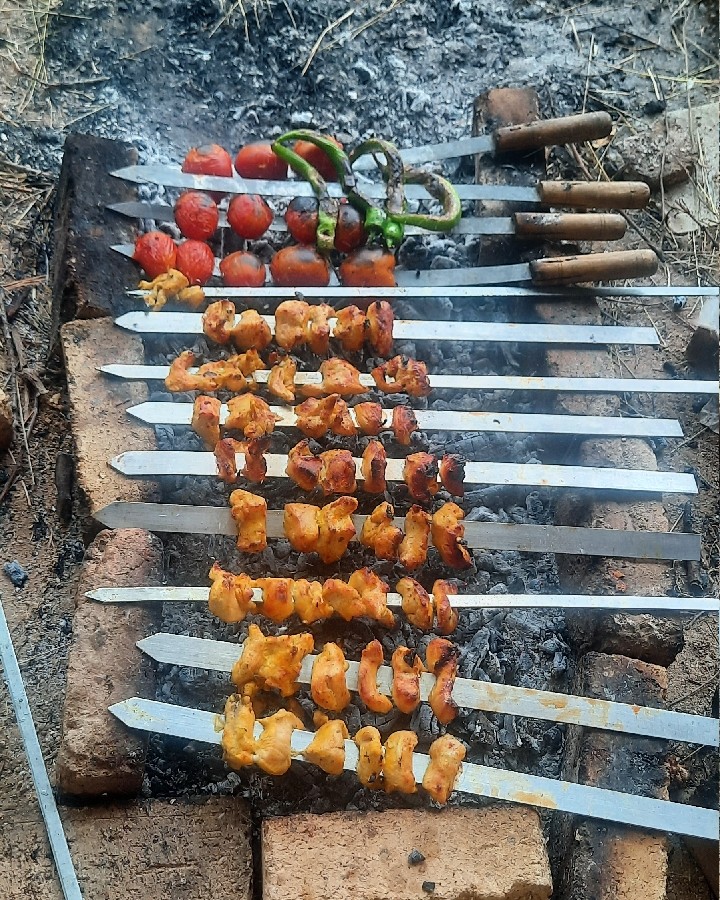 عکس جوجه کباب سیزدهم فروردین