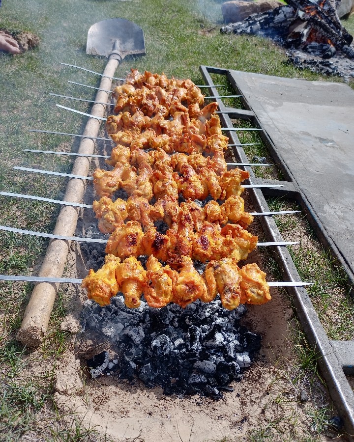 عکس ناهار روز 13 فروردین 