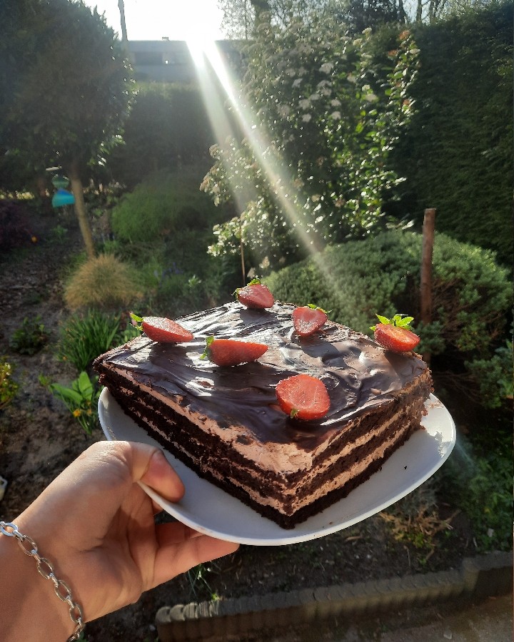 عکس کیک شکلاتی خانگی