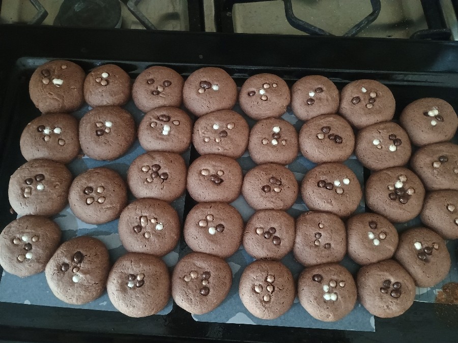 عکس کوکی