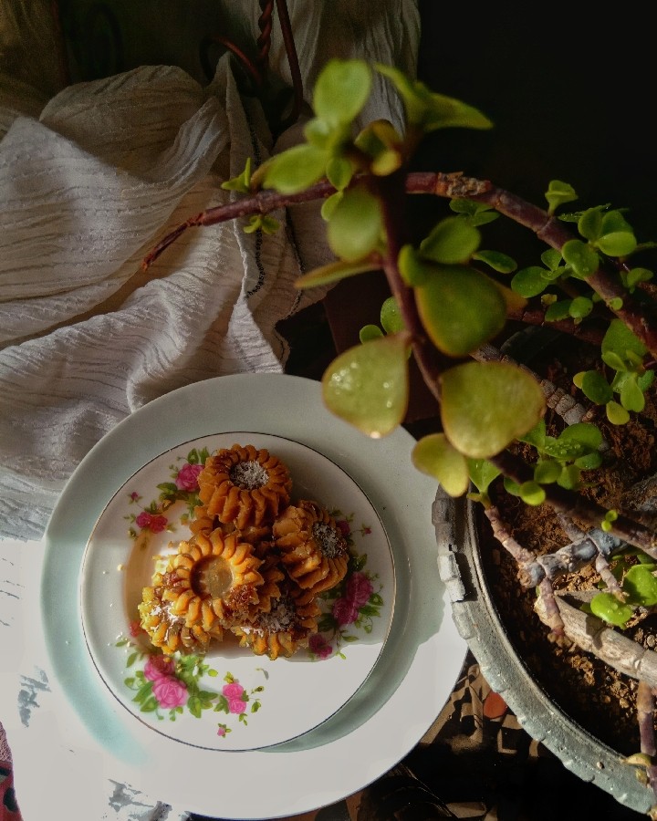 عکس همیشه بهار