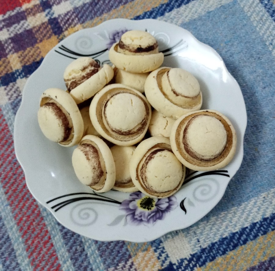 عکس بسکویت قارچ