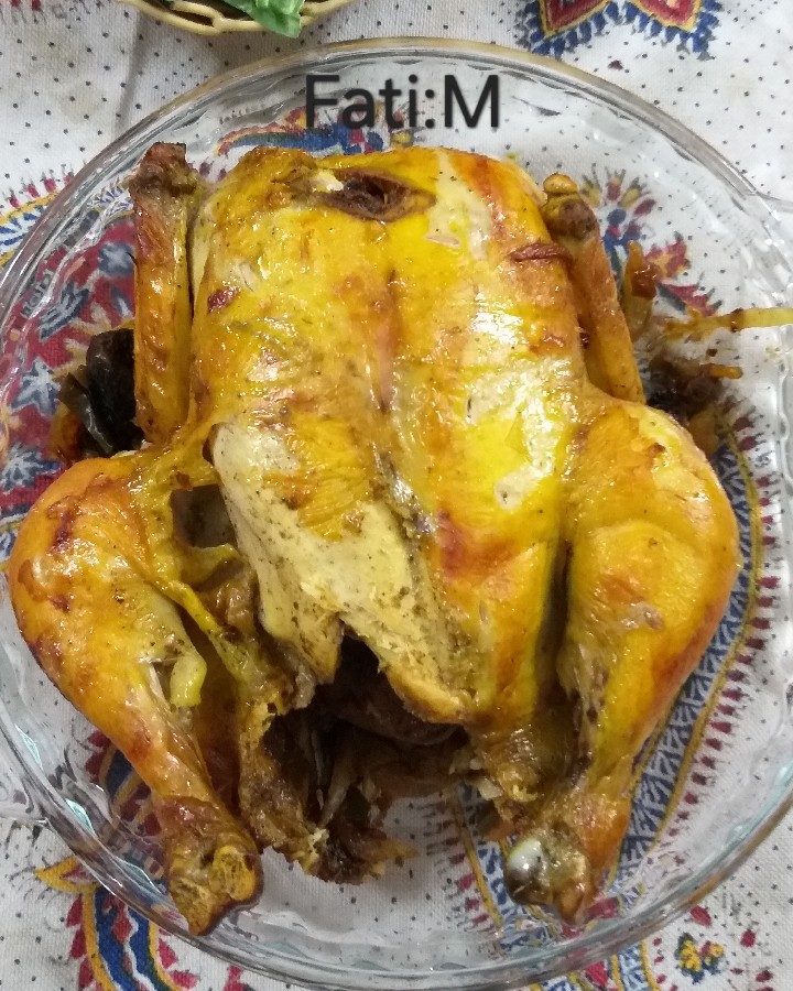 عکس مرغ شکم پر