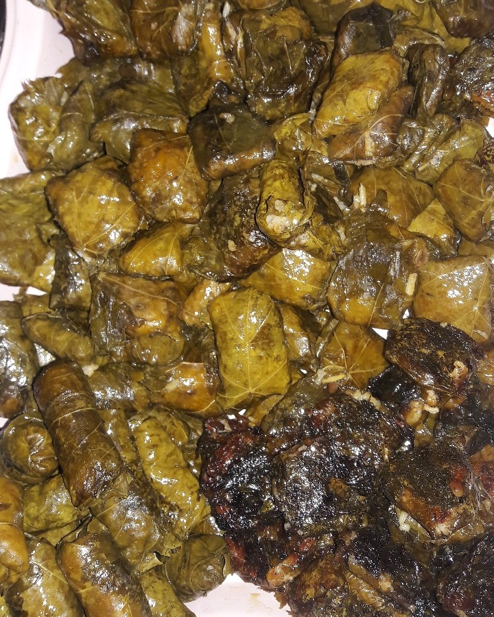 عکس دلمه برگ مو 