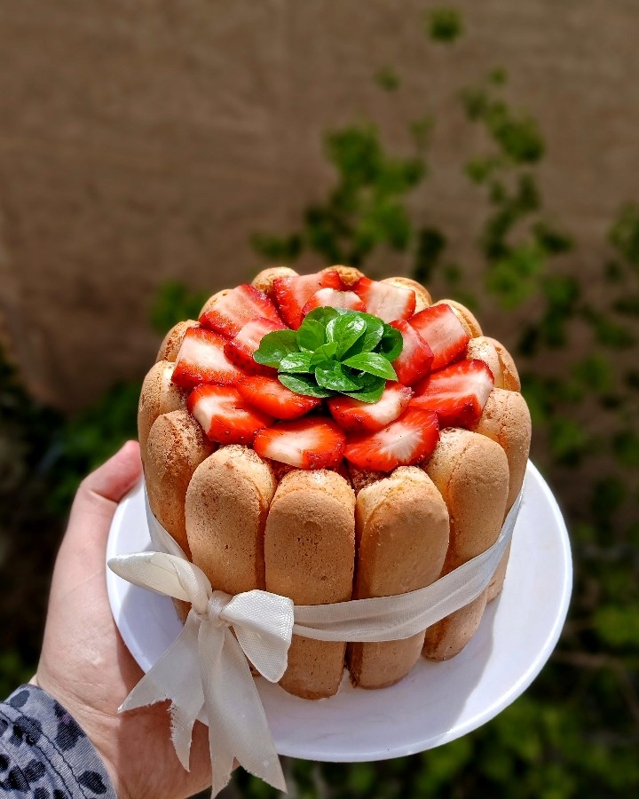 عکس شارلوت تیرامیسو