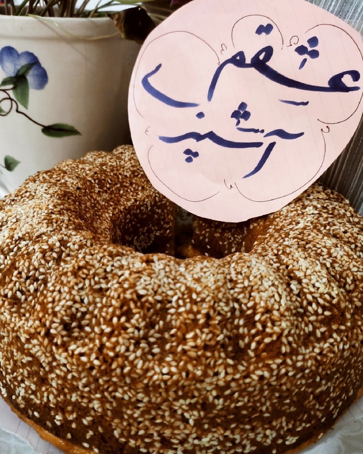 عکس جاتون خالی 