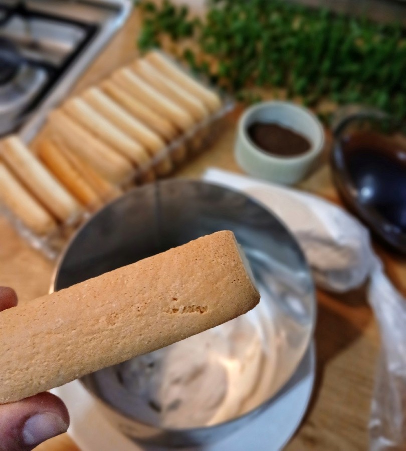 عکس شارلوت تیرامیسو