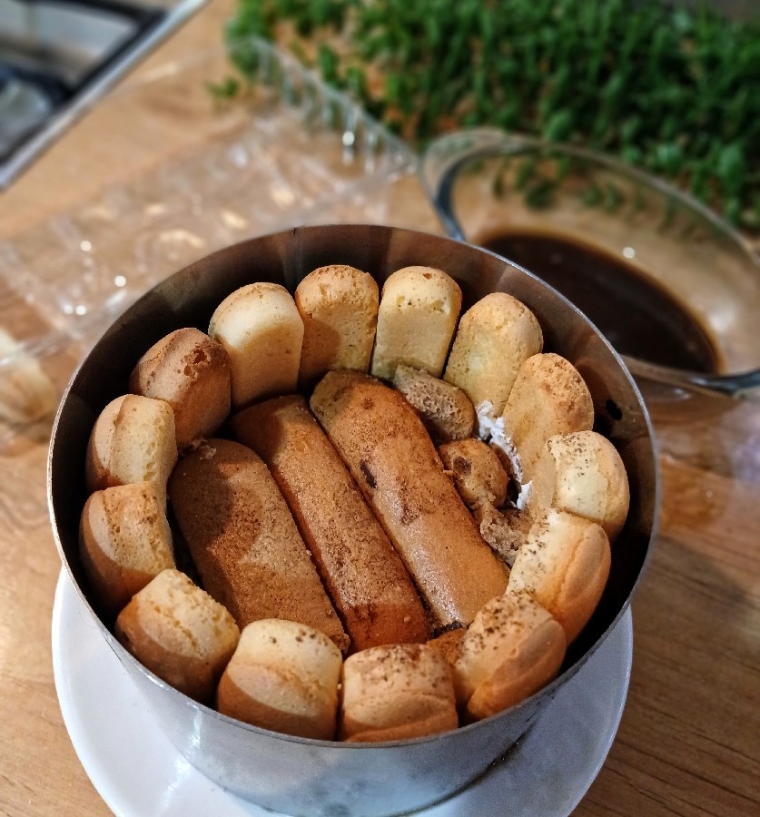 عکس شارلوت تیرامیسو