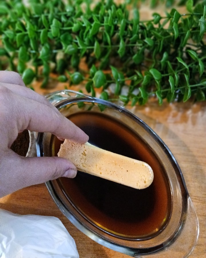 عکس شارلوت تیرامیسو