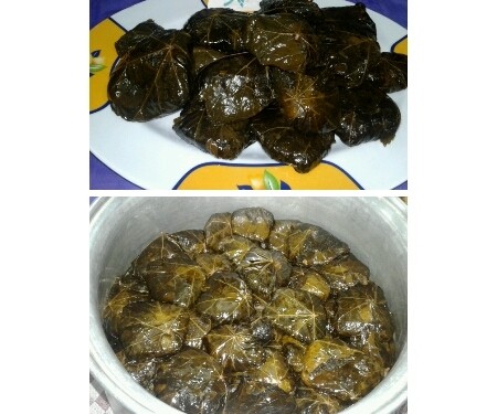 عکس ♡دلمه♡