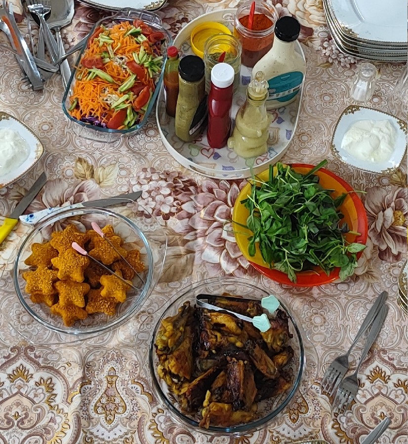 عکس ناگت،کتف وبال سوخاری 