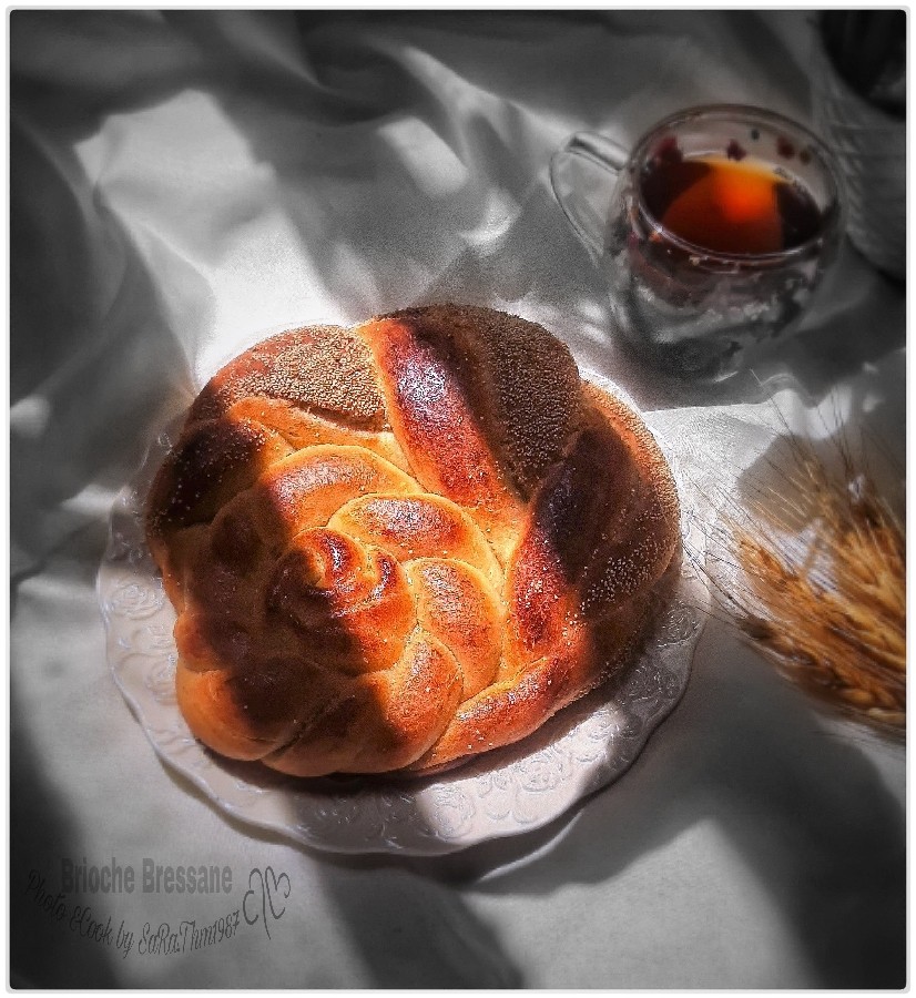 عکس نان برسن (کره ای)