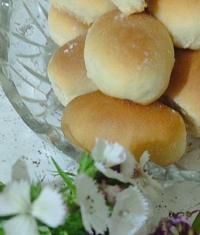 عکس نون خرمایی کره ای و ساده