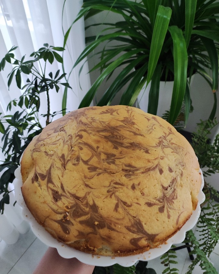 عکس کیک