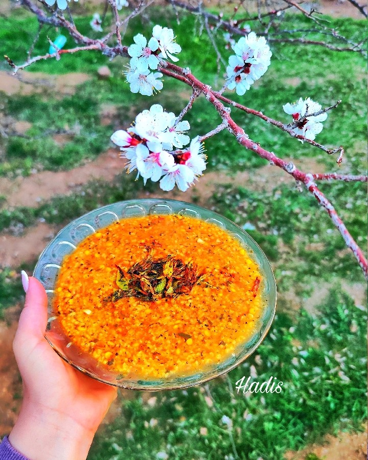 عکس آش گوجه فرنگی