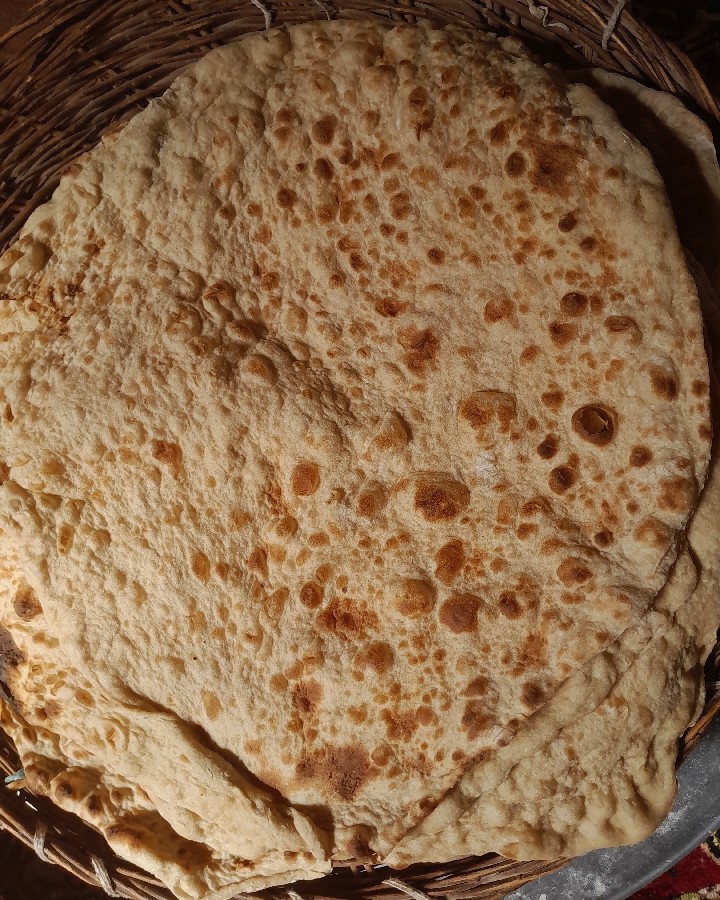 عکس نون تنوری