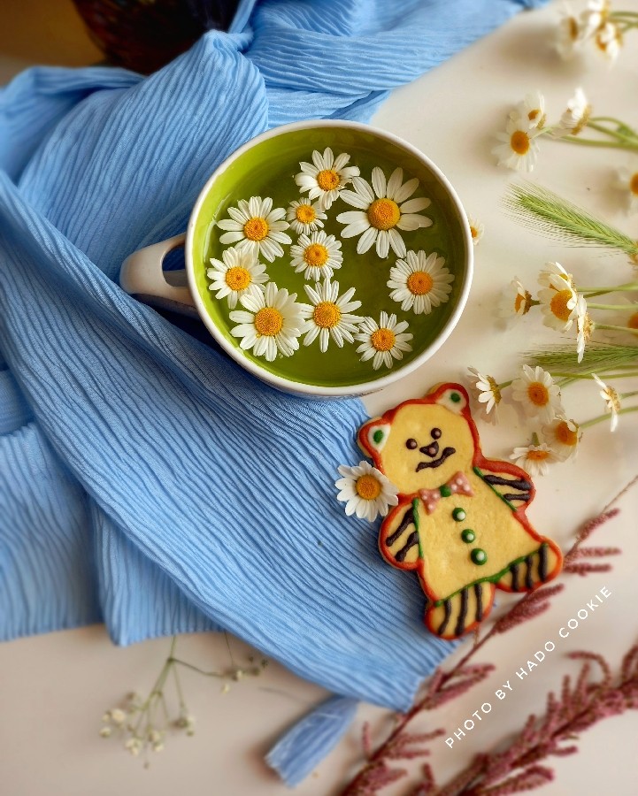 عکس کوکی آیسینگ