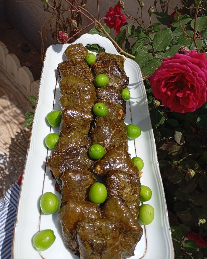 عکس دلمه برگ مو (استان گلستان)