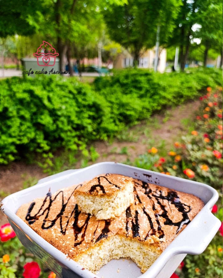 عکس کیک میزبان 