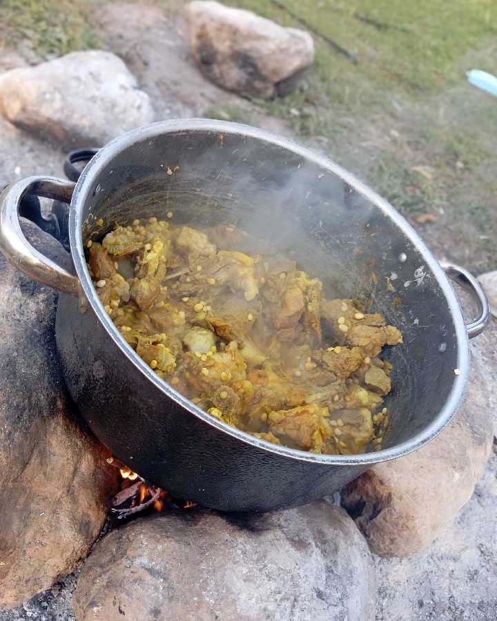 عکس خورش قیمه آلو